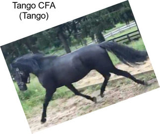 Tango CFA (Tango)