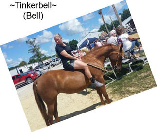 ~Tinkerbell~ (Bell)