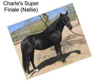 Charle\'s Super Finale (Nellie)