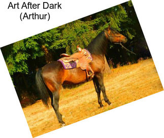 Art After Dark (Arthur)
