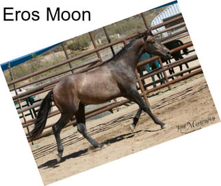 Eros Moon