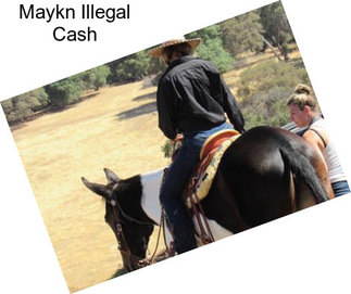 Maykn Illegal Cash