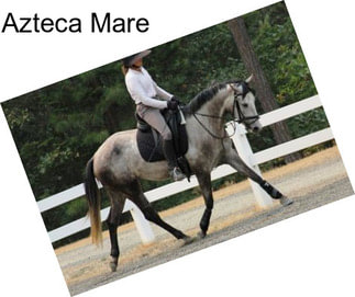 Azteca Mare