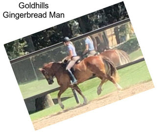 Goldhills Gingerbread Man