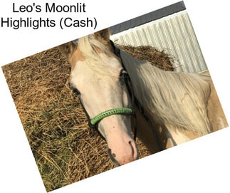 Leo\'s Moonlit Highlights (Cash)