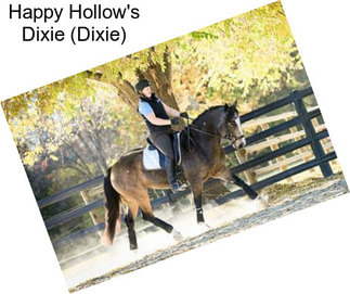 Happy Hollow\'s Dixie (Dixie)