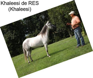 Khaleesi de RES (Khaleesi)