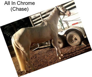 All In Chrome (Chase)