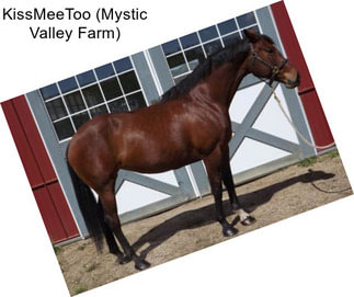 KissMeeToo (Mystic Valley Farm)