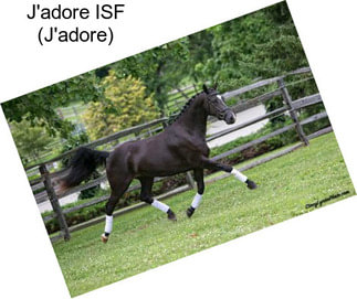 J\'adore ISF (J\'adore)