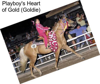 Playboy\'s Heart of Gold (Goldie)