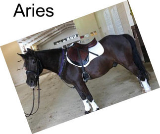 Aries