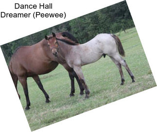 Dance Hall Dreamer (Peewee)