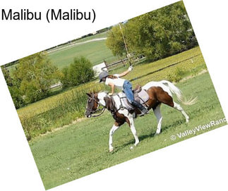 Malibu (Malibu)