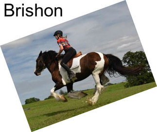 Brishon