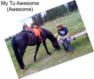 My Tu Awesome (Awesome)