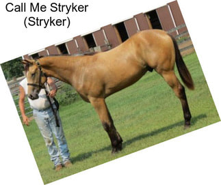 Call Me Stryker (Stryker)