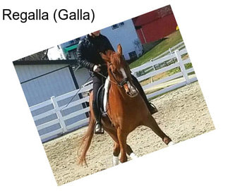 Regalla (Galla)