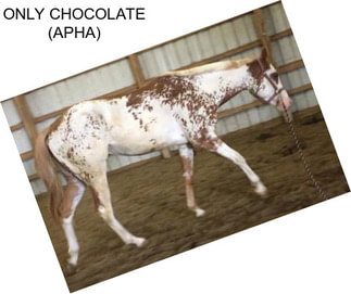 ONLY CHOCOLATE (APHA)