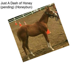 Just A Dash of Honey (pending) (Honeybun)