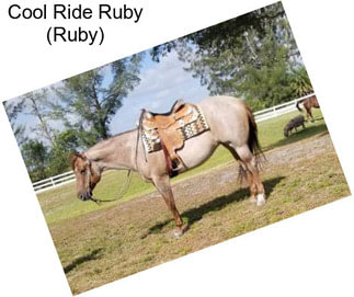 Cool Ride Ruby (Ruby)