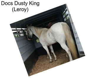 Docs Dusty King (Leroy)