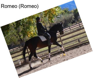 Romeo (Romeo)