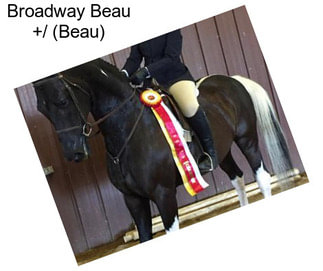 Broadway Beau +/ (Beau)