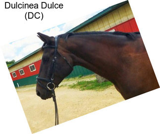 Dulcinea Dulce (DC)