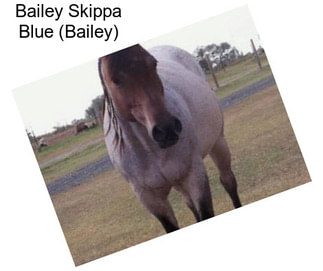 Bailey Skippa Blue (Bailey)