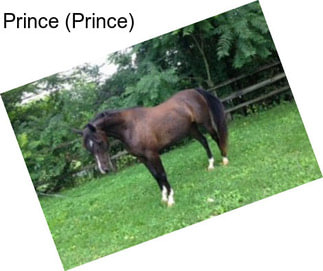 Prince (Prince)