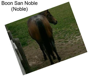 Boon San Noble (Noble)