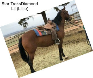 Star TreksDiamond Lil (Lillie)