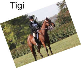 Tigi