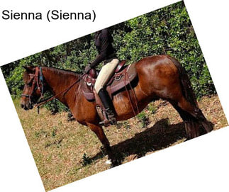 Sienna (Sienna)