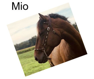 Mio