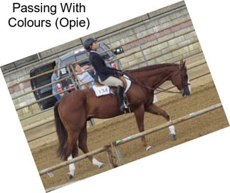 Passing With Colours (Opie)