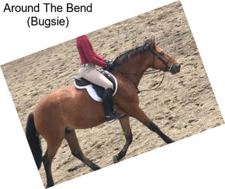 Around The Bend (Bugsie)