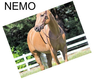 NEMO