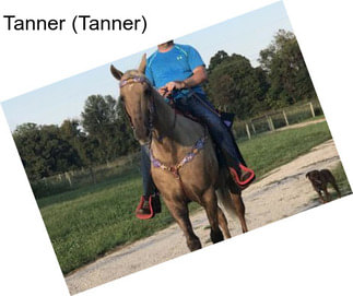 Tanner (Tanner)