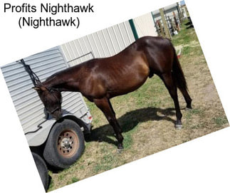 Profits Nighthawk (Nighthawk)