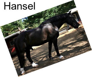 Hansel