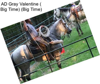 AD Gray Valentine ( Big Time) (Big Time)