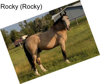 Rocky (Rocky)