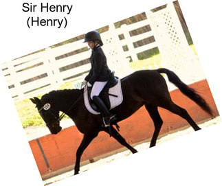 Sir Henry (Henry)