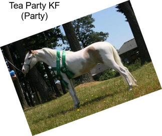 Tea Party KF (Party)