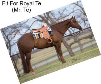 Fit For Royal Te (Mr. Te)