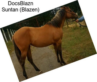 DocsBlazn Suntan (Blazen)
