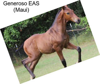 Generoso EAS (Maui)