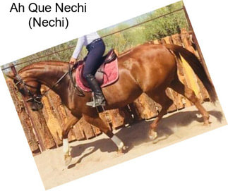 Ah Que Nechi (Nechi)